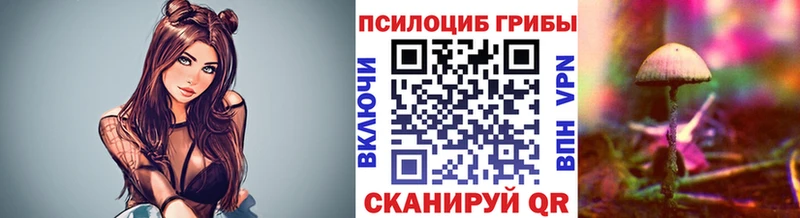 Псилоцибиновые грибы ЛСД как найти закладки Мегион